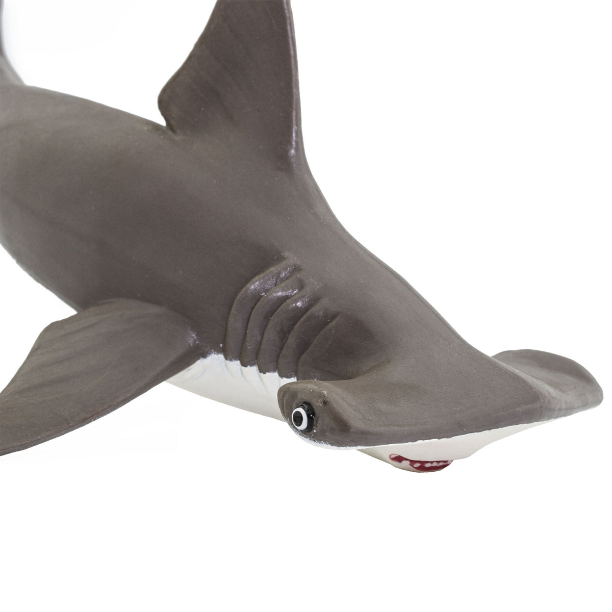 Safari Ltd Hammerhead Shark Baby XL