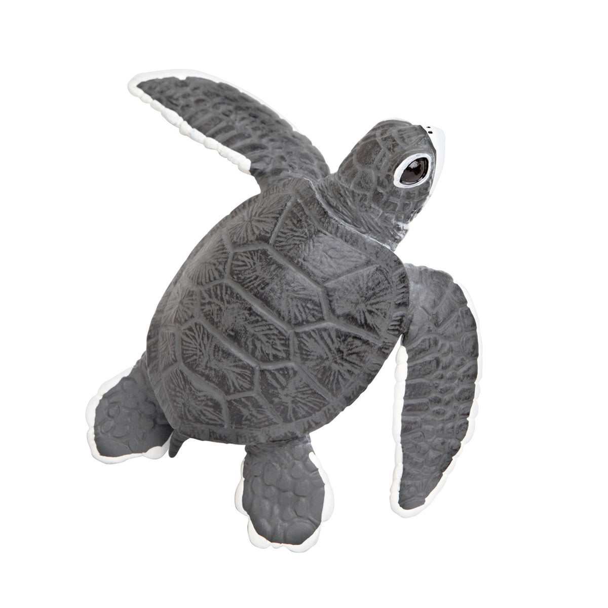 Safari Ltd Sea Turtle Baby XL