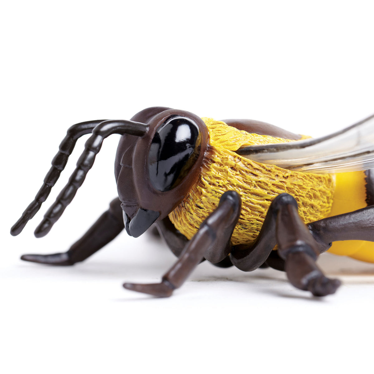 Safari Ltd Honey Bee XL
