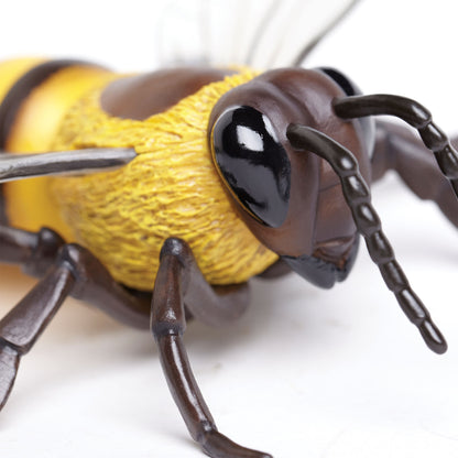 Safari Ltd Honey Bee XL