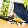 Safari Ltd Honey Bee XL
