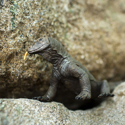 Safari Ltd Komodo Dragon XL