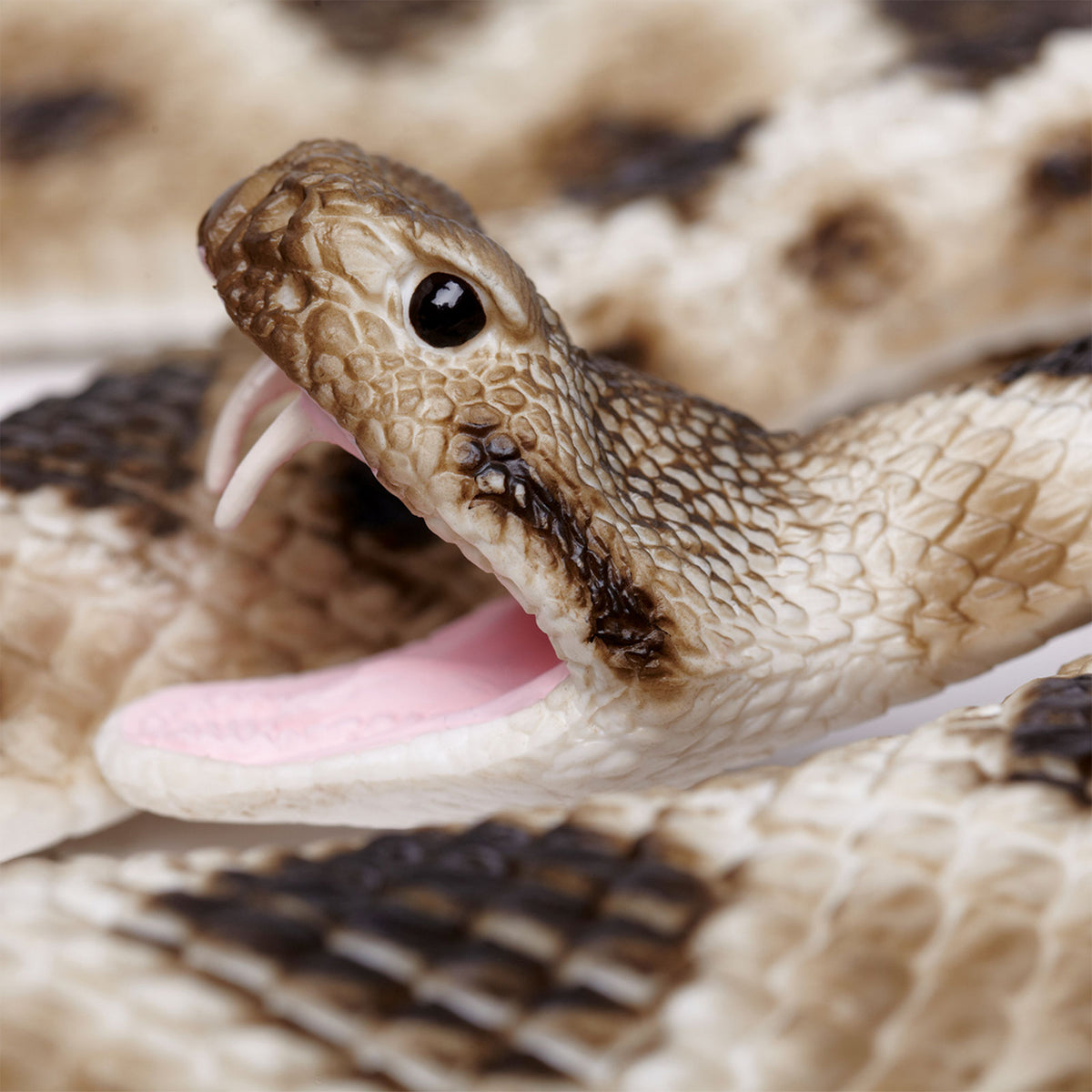 Safari Ltd Eastern Diamondback Rattlesnake XL