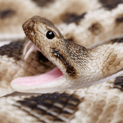 Safari Ltd Eastern Diamondback Rattlesnake XL