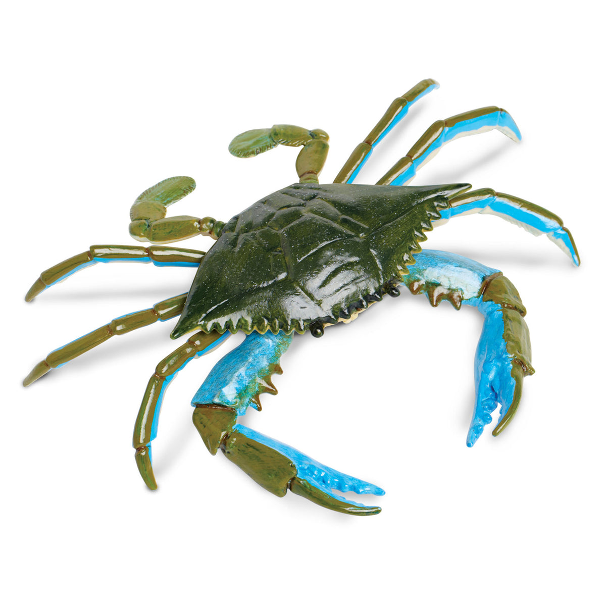 Safari Ltd Blue Crab XL