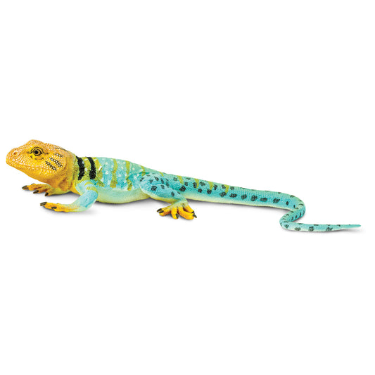 Safari Ltd Collared Lizard XL