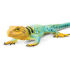 Safari Ltd Collared Lizard XL