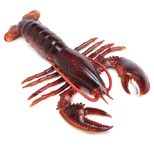 Safari Ltd Maine Lobster XL