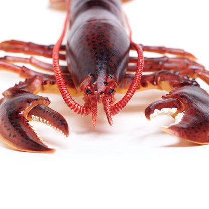 Safari Ltd Maine Lobster XL
