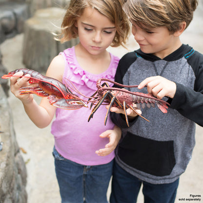 Safari Ltd Maine Lobster XL