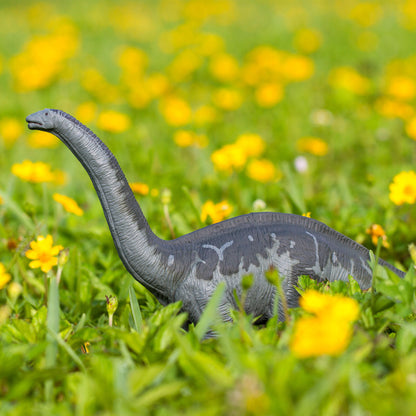 Safari Ltd Apatosaurus Great Dinos