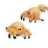 Safari Ltd Good Luck Mini Hermit Crab