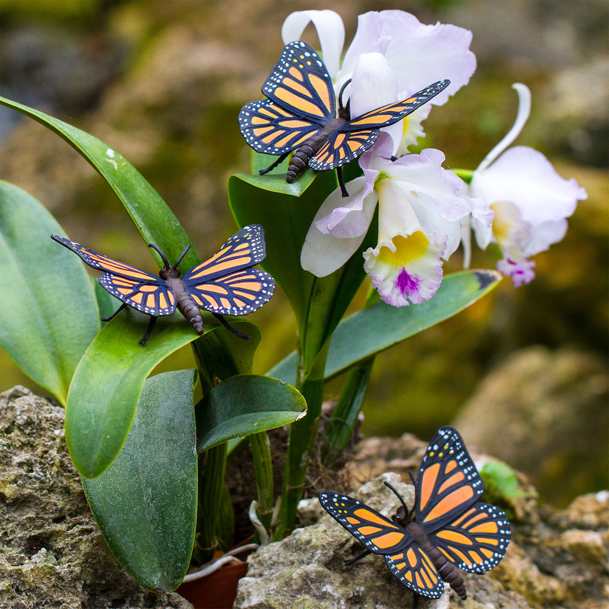 Safari Ltd Monarch Butterfly XL