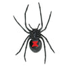 Safari Ltd Black Widow Spider XL