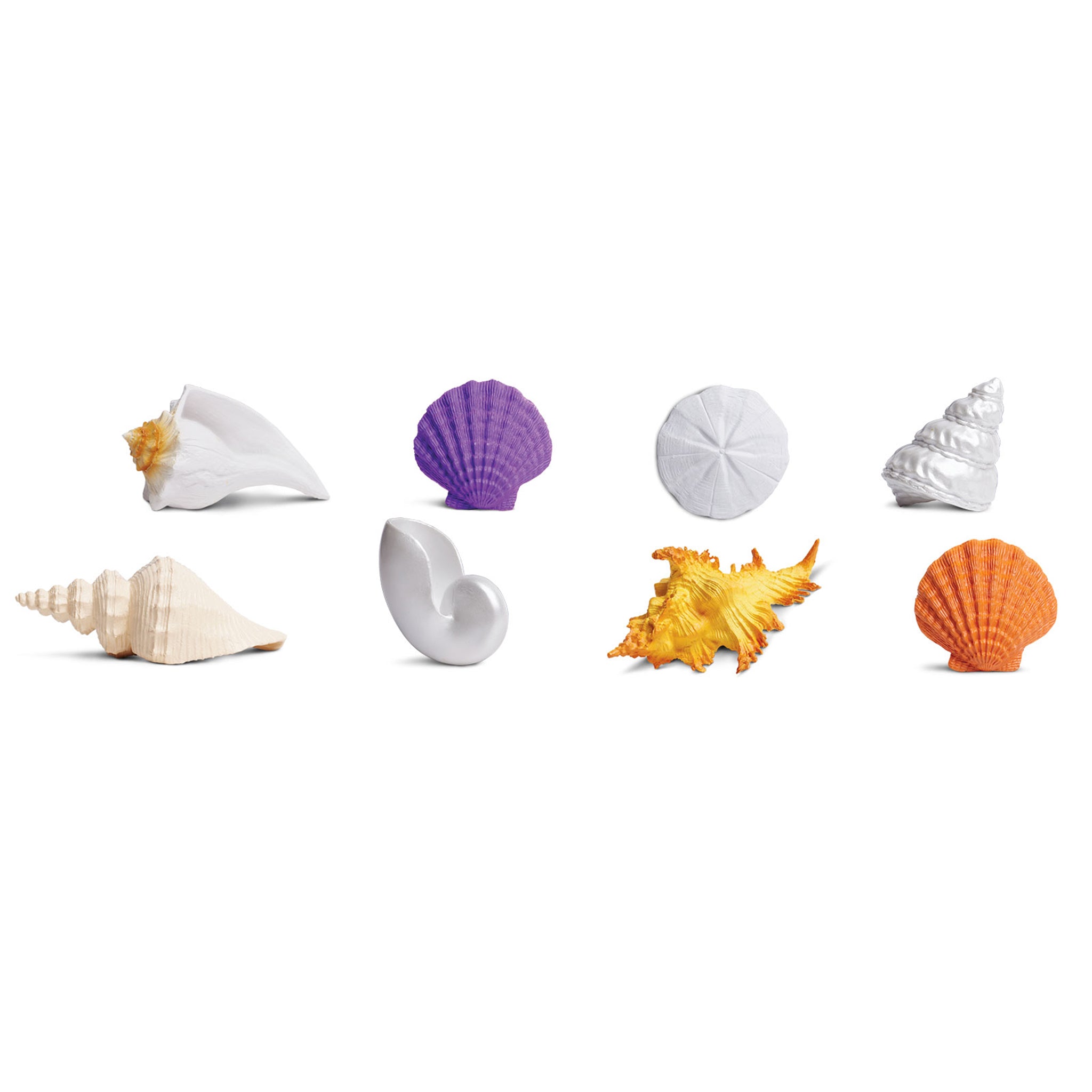 Safari Ltd Seashells Toob – Animal Kingdoms Toy Store