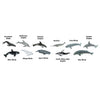 Safari Ltd Whales And Dolphins Toob