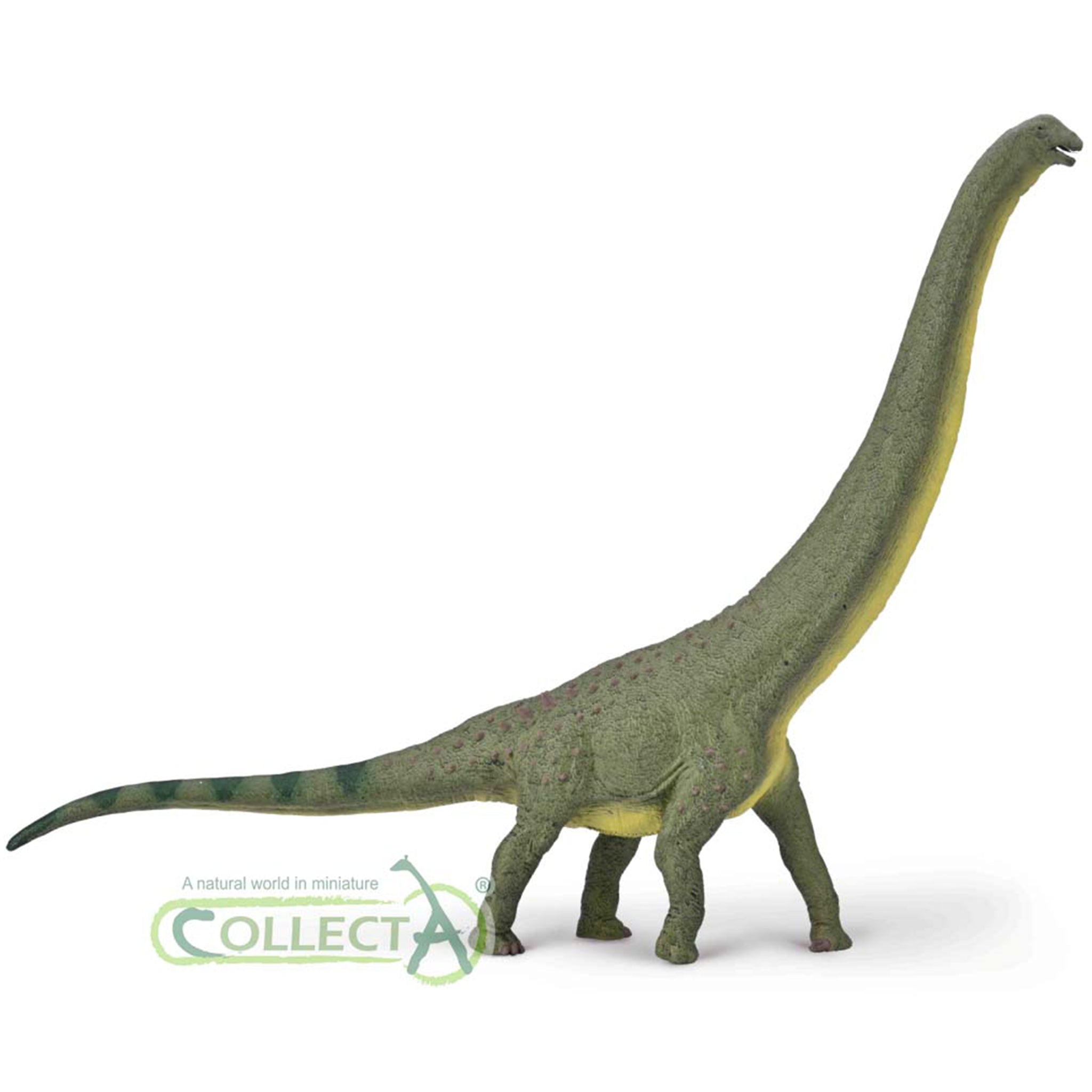 Collecta Store CollectA Dreadnoughtus Deluxe – Animal Kingdoms Toy Store