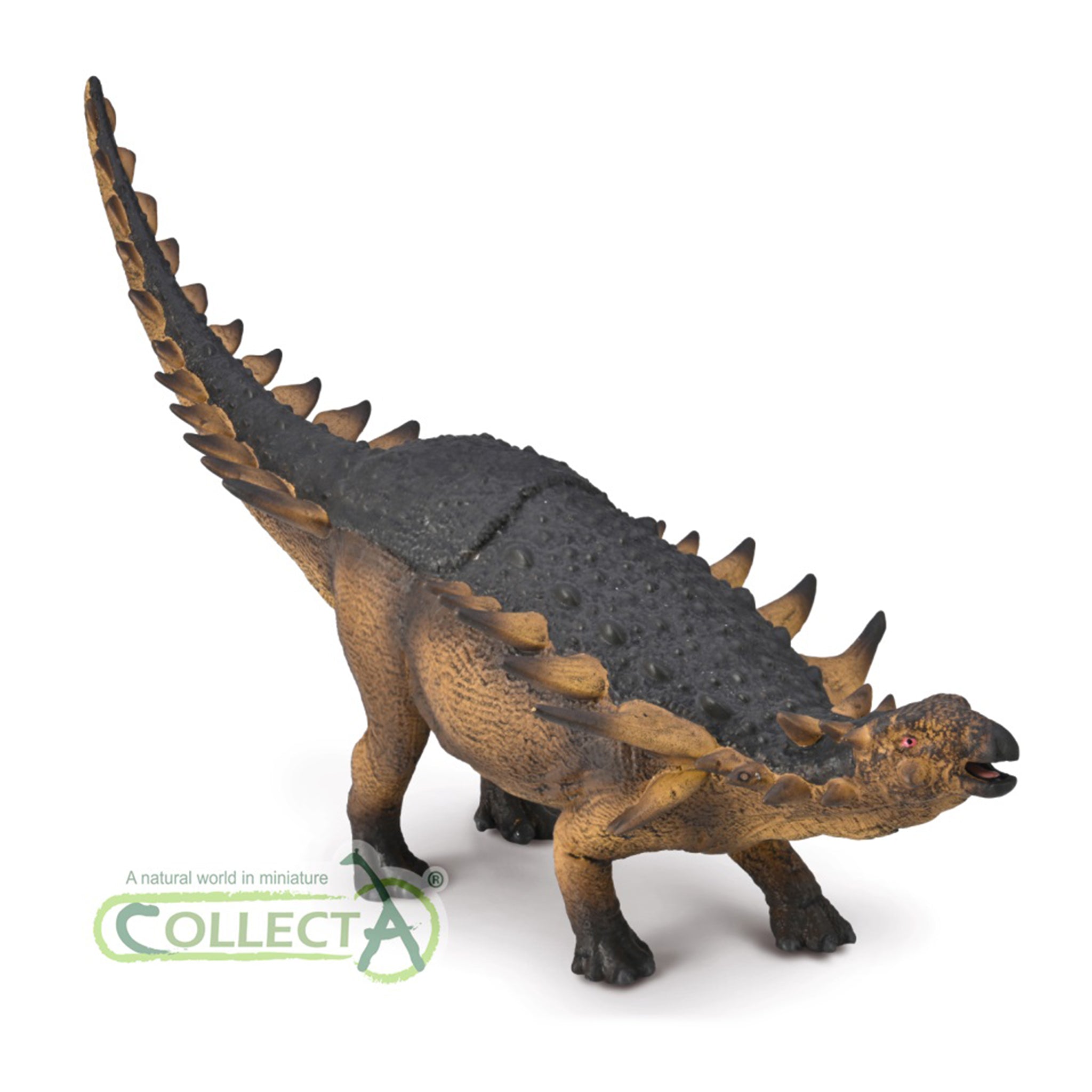 CollectA 88731 Kiwi – Figurina Realistica In Plastica, Animale Della Nuova Zelanda, Per Gioco Educativo, 6,7 Cm