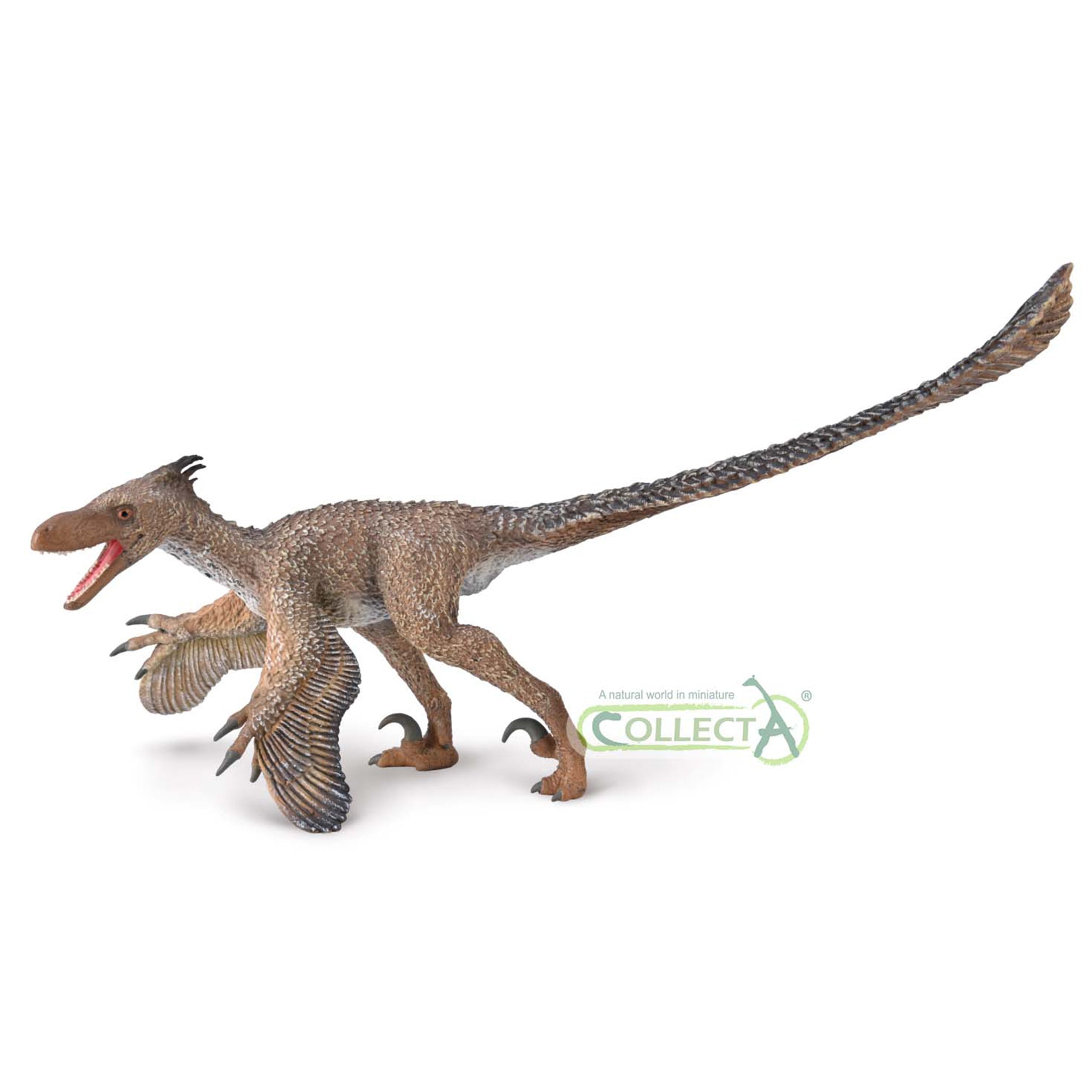 CollectA Velociraptor Deluxe – Animal Kingdoms Toy Store