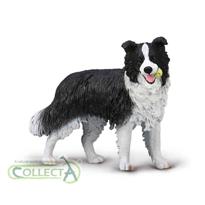 CollectA Border Collie