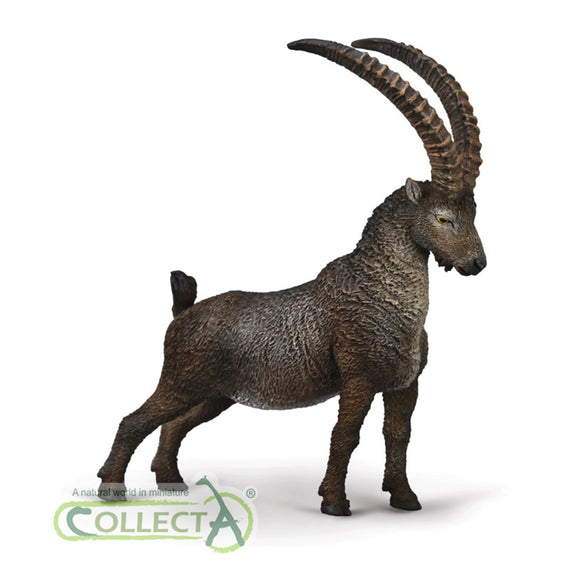 CollectA Alpine Ibex