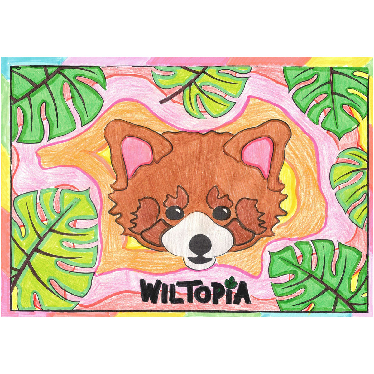 Colouring Competition Wiltopia 2023