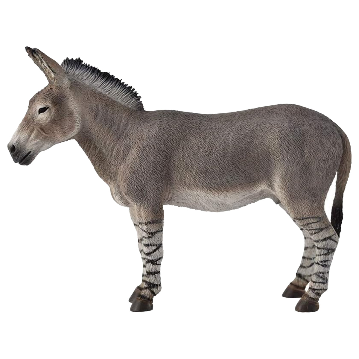 CollectA African Wild Ass