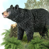 CollectA American Black Bear