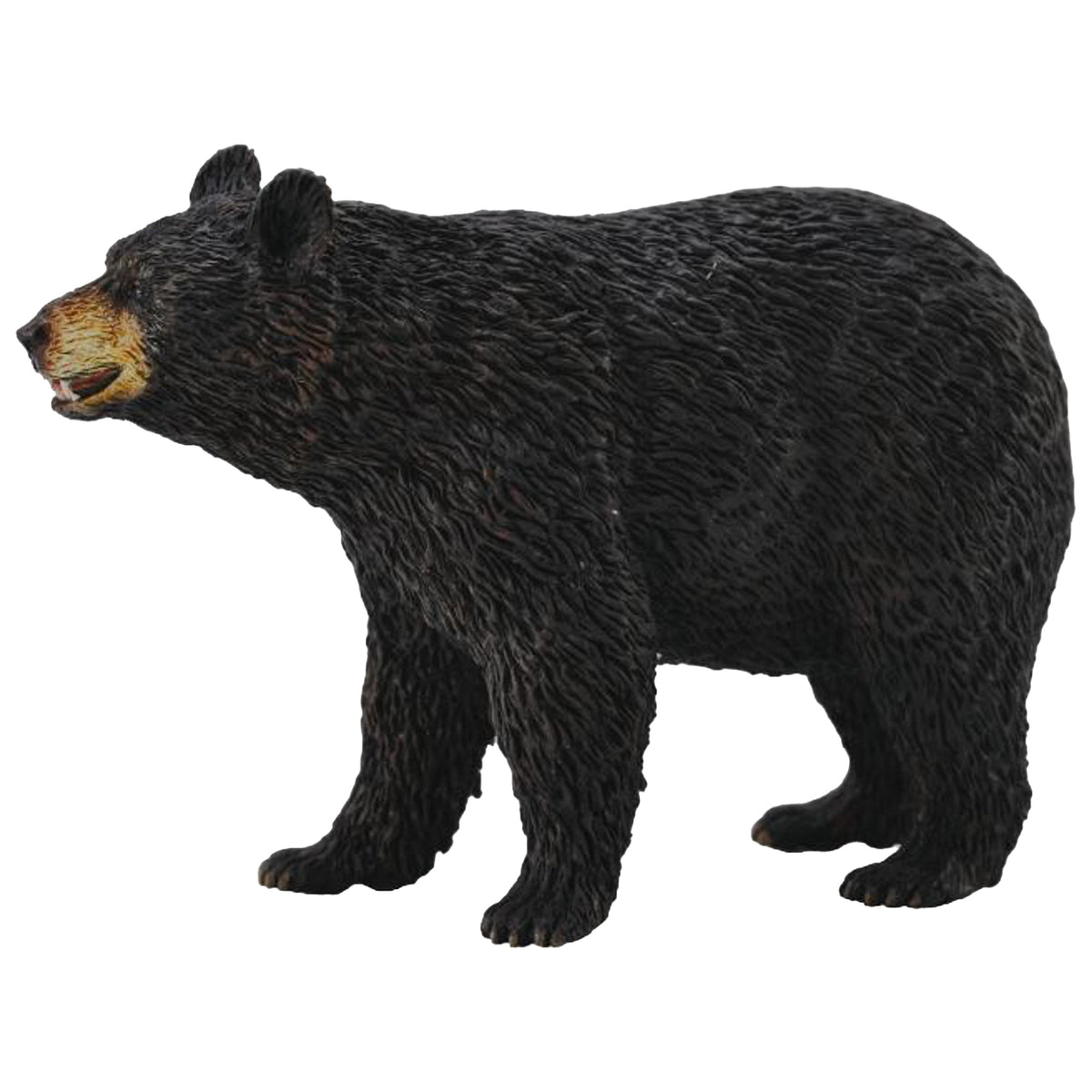 CollectA American Black Bear – Animal Kingdoms Toy Store