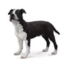 CollectA American Staffordshire Terrier