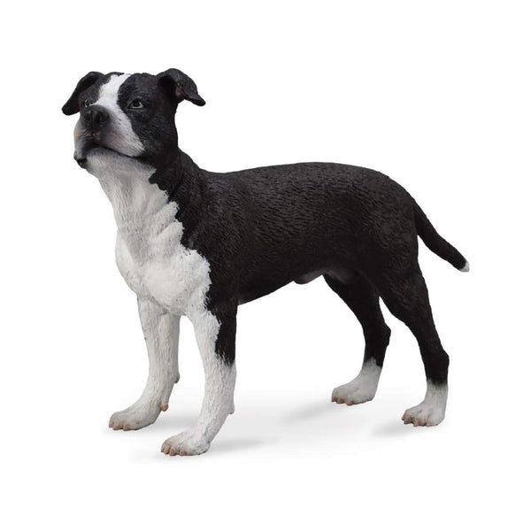 CollectA American Staffordshire Terrier