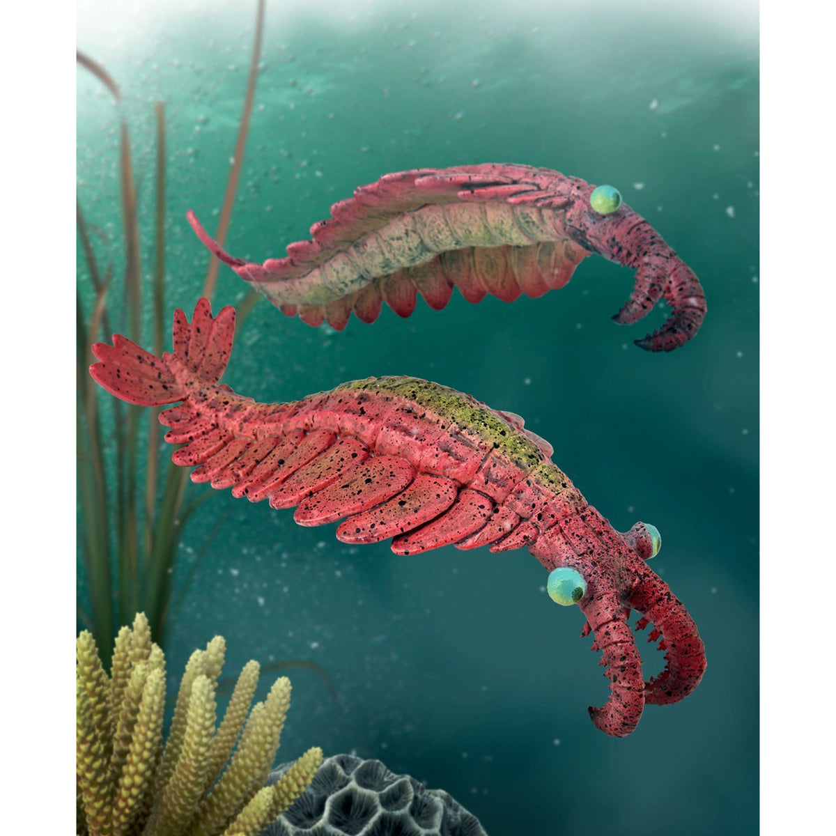 CollectA Anomalocaris