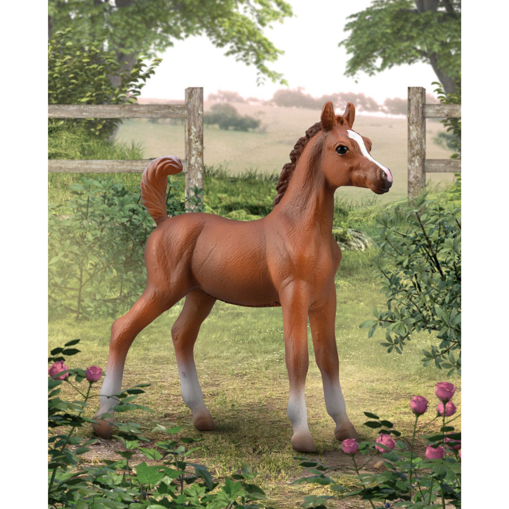CollectA Arabian Foal - Chestnut – Animal Kingdoms Toy Store