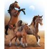 CollectA Arabian Foal - Chestnut