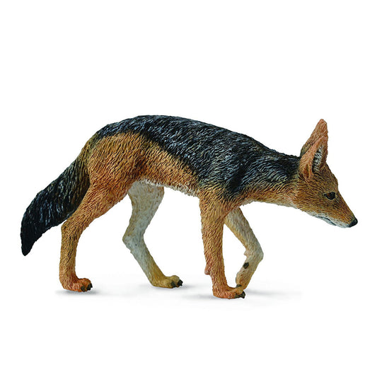 CollectA Black Backed Jackal