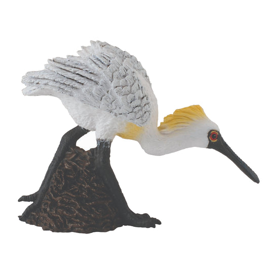 CollectA Black Faced Spoonbill Walking