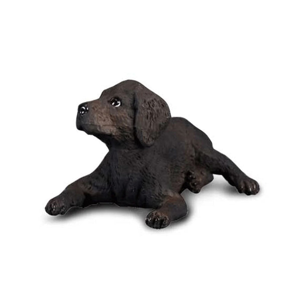 CollectA Black Labrador Retriever Puppy