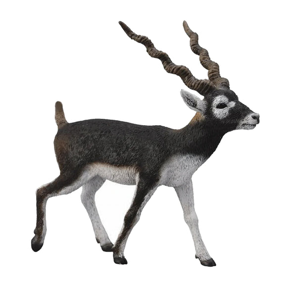 CollectA Blackbuck Antelope