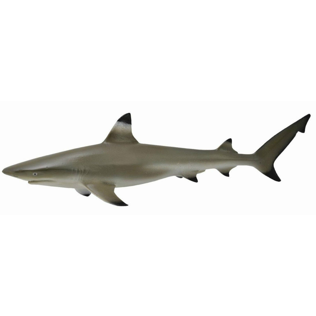 CollectA Blacktip Reef Shark – Animal Kingdoms Toy Store