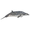 CollectA Blainvilles Beaked Whale