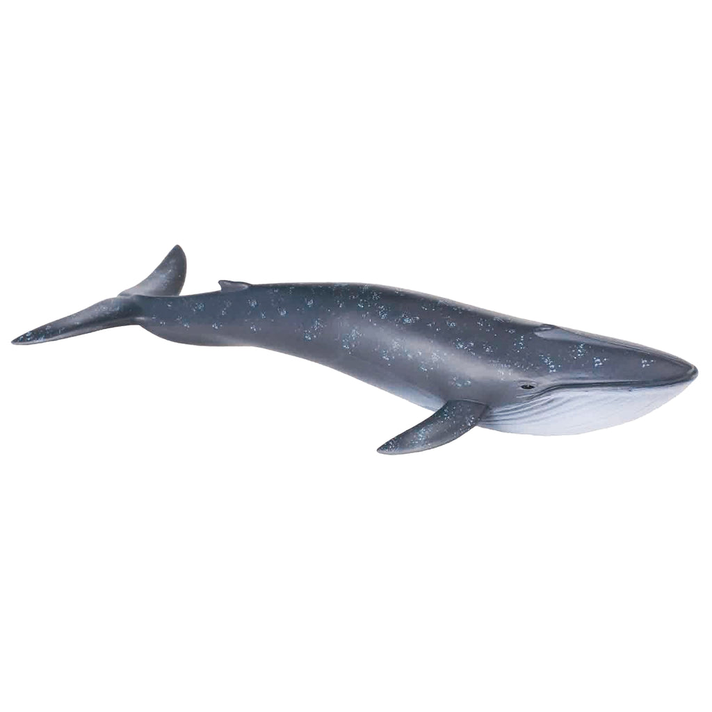 CollectA Blue Whale – Animal Kingdoms Toy Store