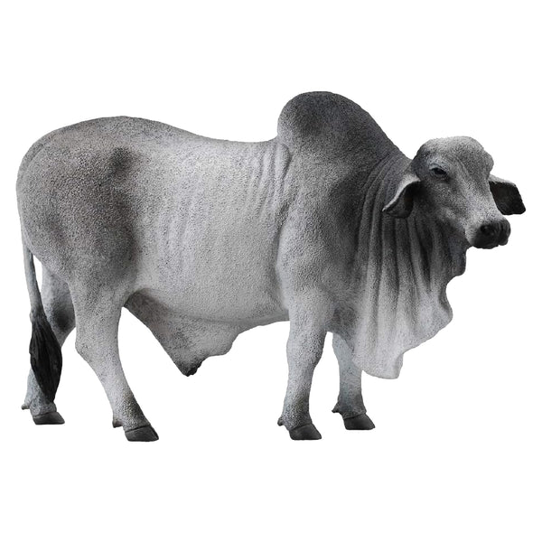 CollectA Brahman Bull Grey