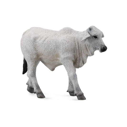 CollectA Brahman Calf Grey