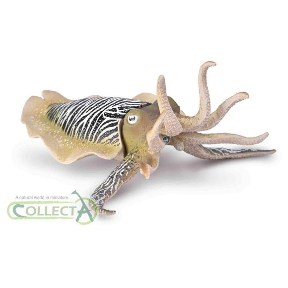 CollectA Common Cuttlefish