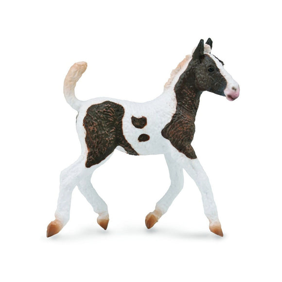 CollectA Curly Foal