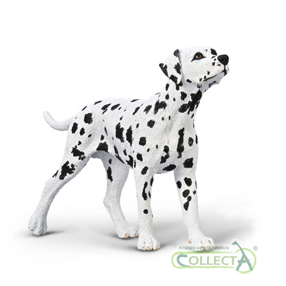 CollectA Dalmatian