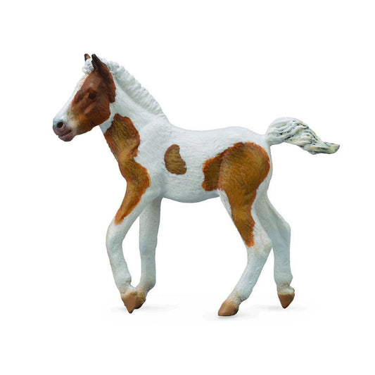 CollectA Dartmoor Hill Foal Skewbald