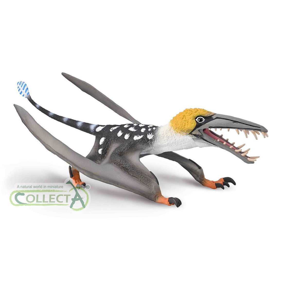 Collecta Rabbit CollectA 2024 – Page 2 – Animal Kingdoms Toy Store