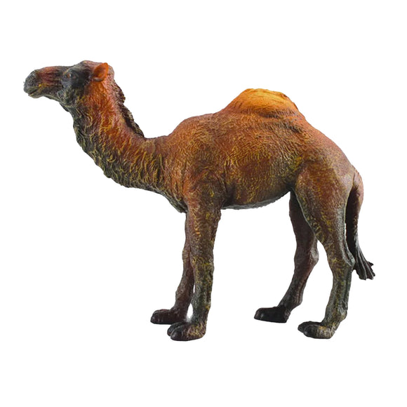 CollectA Dromedary Camel