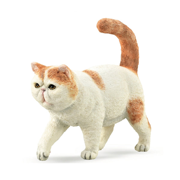 CollectA Exotic Shorthair
